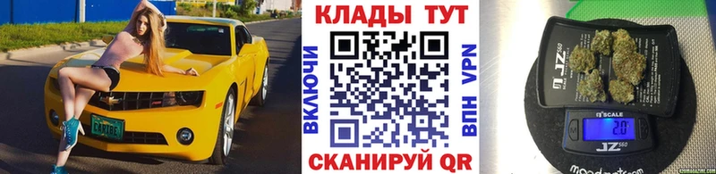  COCAIN Новоульяновск