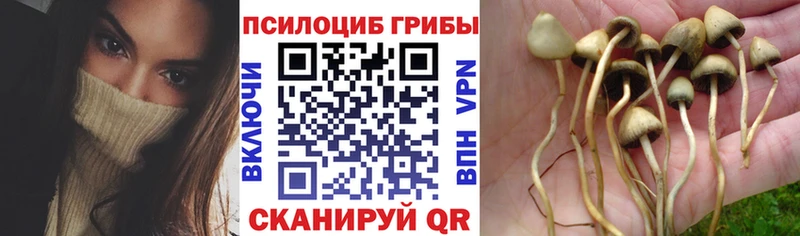 Галлюциногенные грибы GOLDEN TEACHER  маркетплейс телеграм  Новоульяновск 